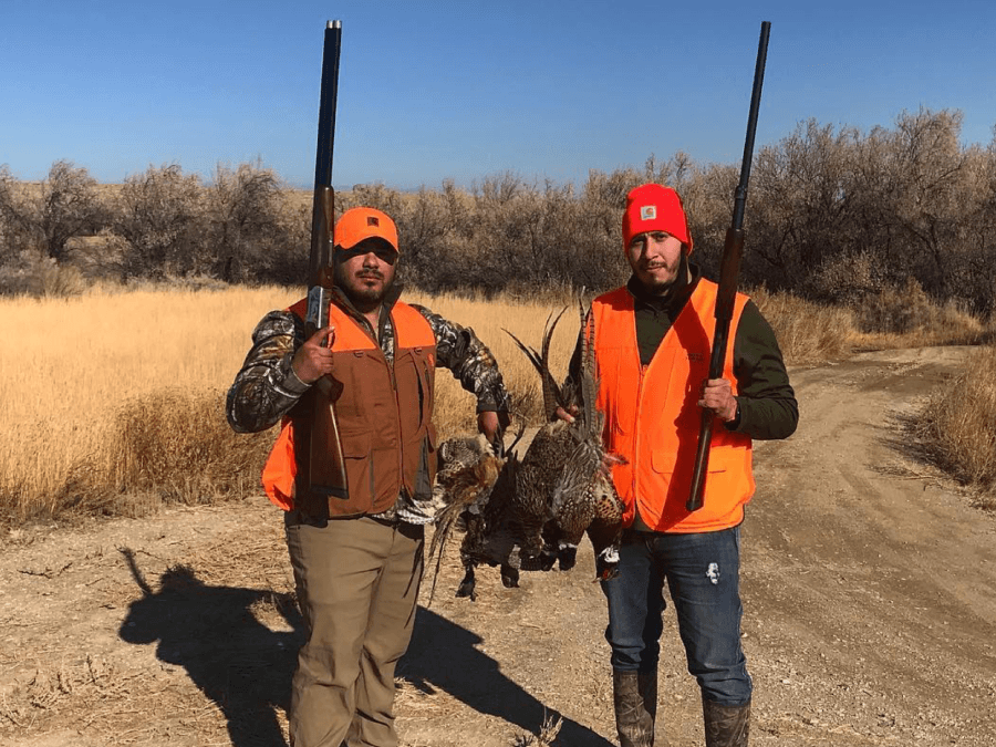 Park City Outfitters Pheasant Hunting 1